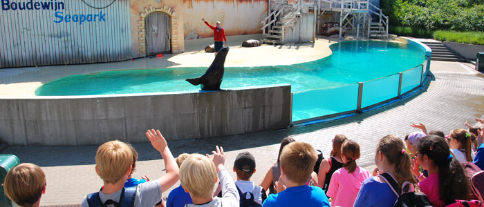Ontdek de educatieve sessies in Boudewijn Seapark en leer alles bij over de tuimelaar, de Californische zeeleeuw en de zeezoogdieren in het algemeen. 
