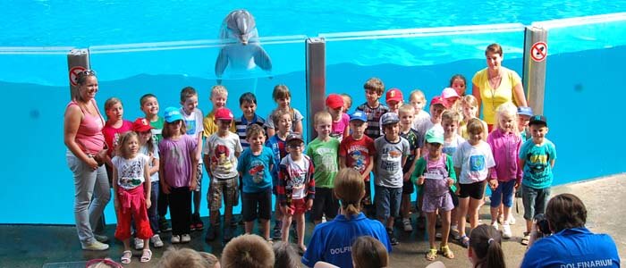 Beleef een dolfijne schoolreis in Boudewijn Seapark!