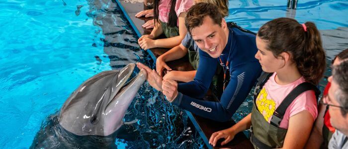 Programma In het Water met Dolfijnen bij Boudewijn Seapark