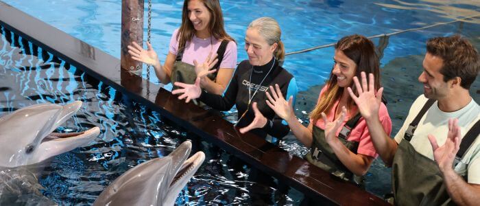 Programma In het Water met Dolfijnen bij Boudewijn Seapark