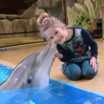 Dichter bij Dolfijnen