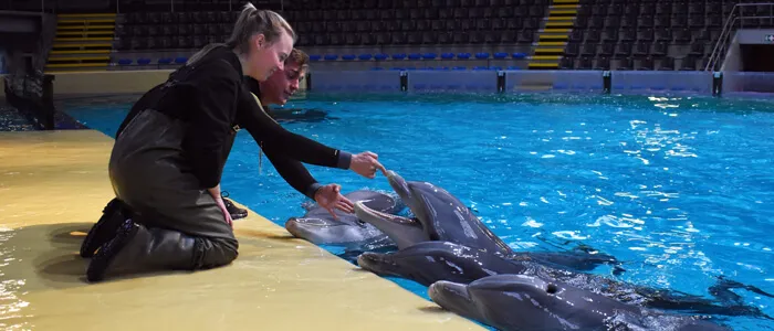 Dichter bij Dolfijnen