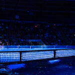 Dolfijnenvoorstelling