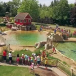 Zeehondenpresentatie