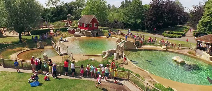 Zeehondenpresentatie