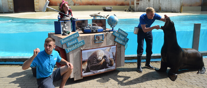 Zeeleeuwenvoorstelling