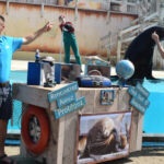 Zeeleeuwenvoorstelling