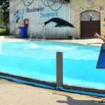 Zeeleeuwenvoorstelling