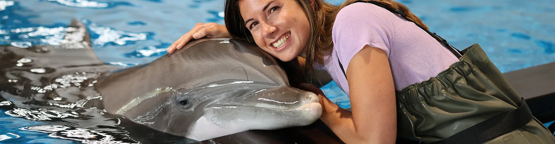 In het water met dolfijnen