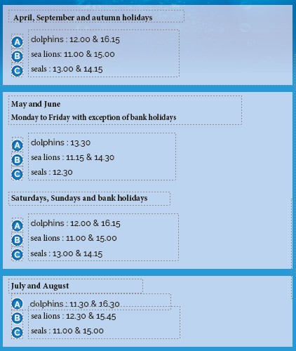 Hours of the presentation